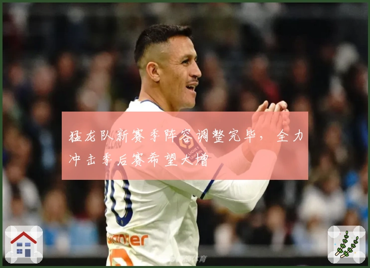 猛龙队新赛季阵容调整完毕,全力冲击季后赛希望大增