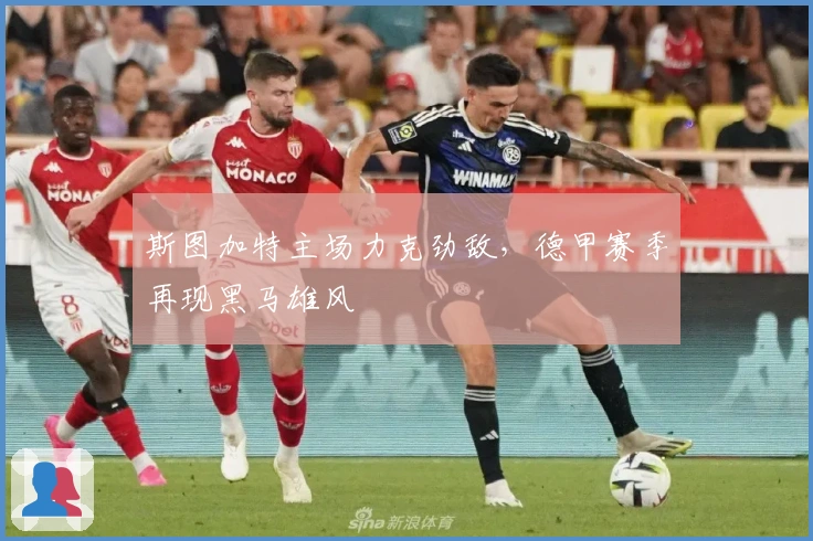 斯图加特主场力克劲敌，德甲赛季再现黑马雄风