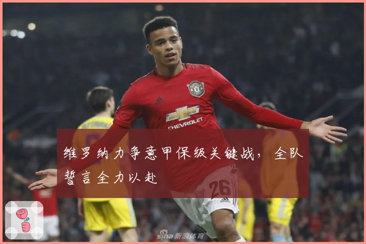 维罗纳力争意甲保级关键战，全队誓言全力以赴